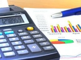 Virtual Services Consulting, consultanta economica